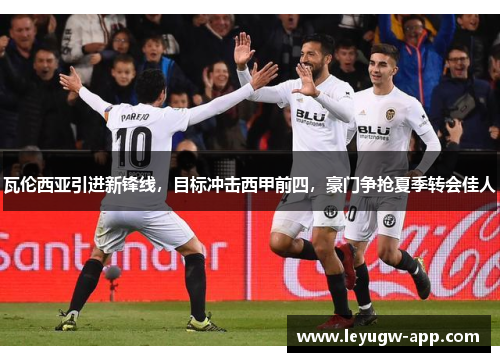瓦伦西亚引进新锋线，目标冲击西甲前四，豪门争抢夏季转会佳人